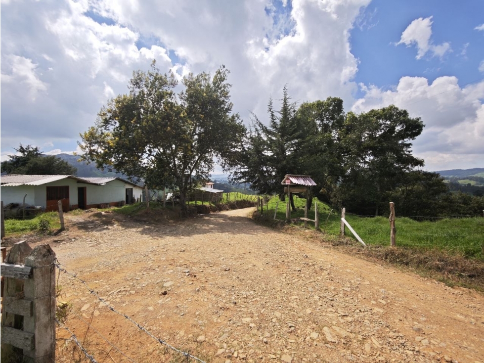 Lote en San Pedro de los Milagros Fácil Acceso - 4