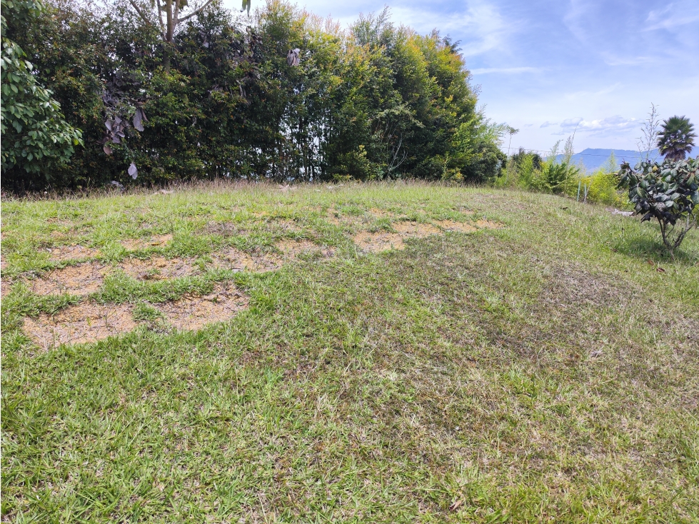 Lote de 2.500 m² en venta en vereda La Clara, Guarne