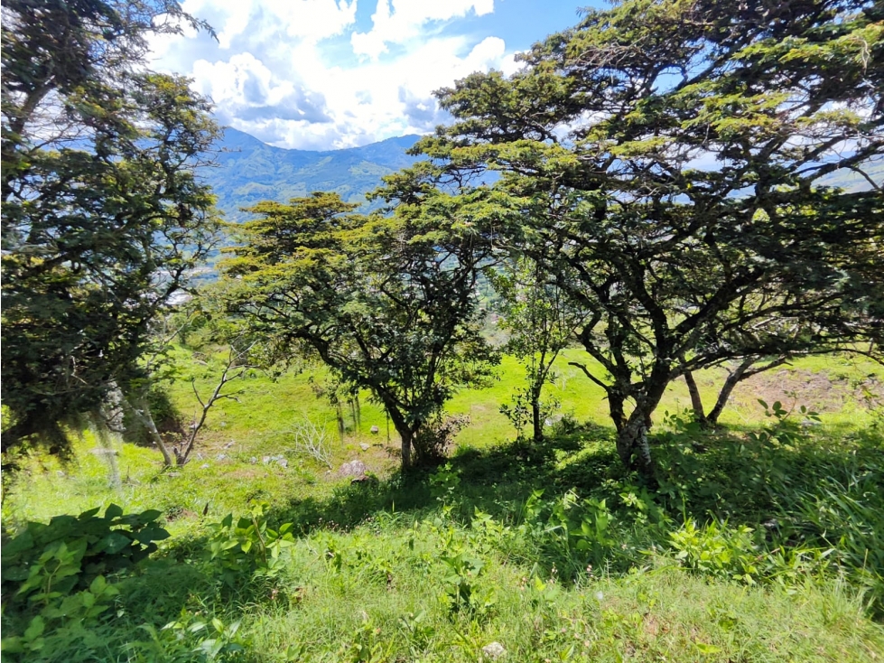 Lote de 5.200 m² en venta en El Limonar, Girardota - Lote B — foto 2