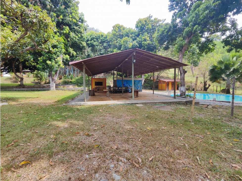 Finca en sucre olaya cerca al pueblo topografía plana — foto 6