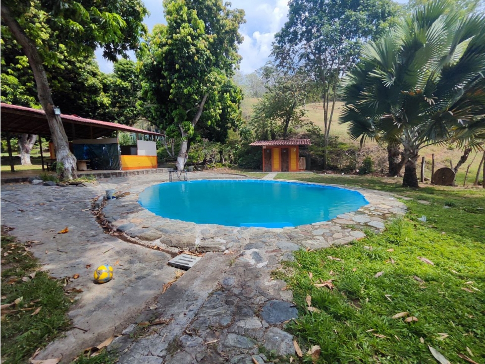 Finca en sucre olaya cerca al pueblo topografía plana