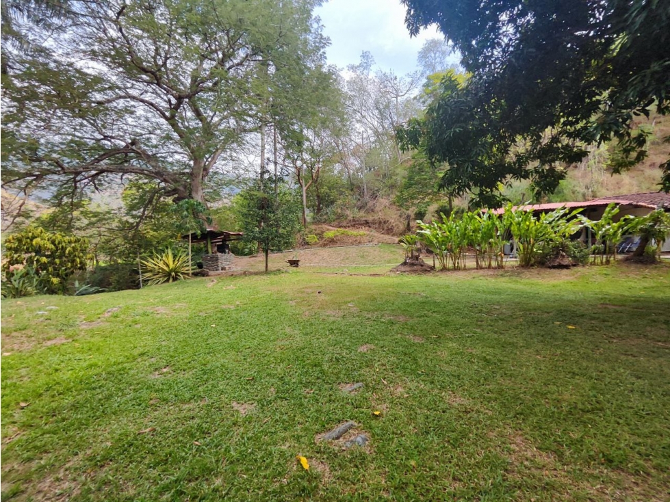 Finca en sucre olaya cerca al pueblo topografía plana — foto 3