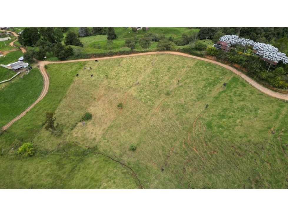 Lote 2.695 m², vereda Santa Bárbara, San Pedro de los Milagros