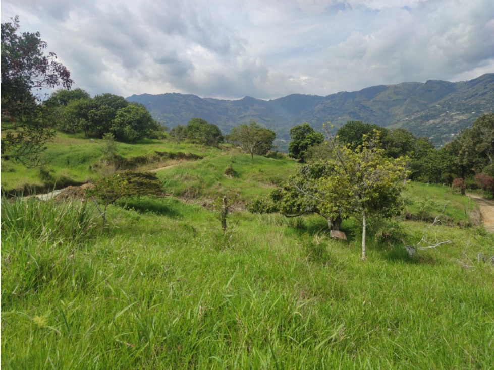 Lote de 2.700 m² en venta en vereda El Totumo, Girardota - Lote 1 — foto 2