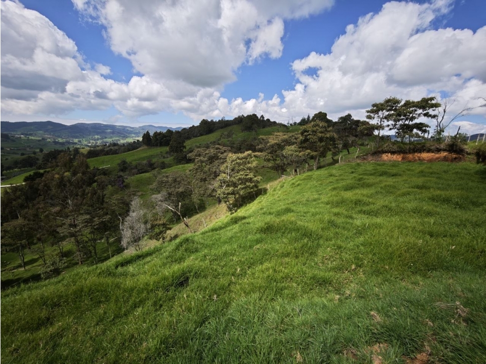 Lote de 3.720 m² en venta en San Pedro de los Milagros — foto 6