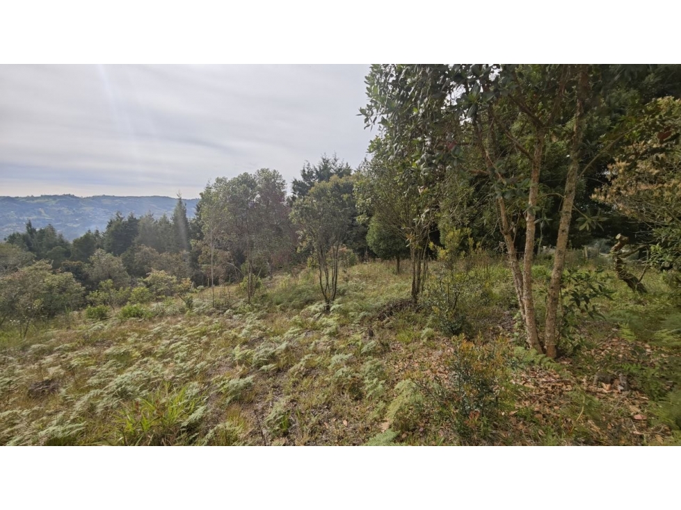 Lote de 1.970 m² en venta en la vereda San Isidro, Guarne — foto 2