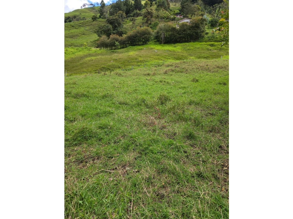 Lote en Barbosa Alto de Matasano — foto 2