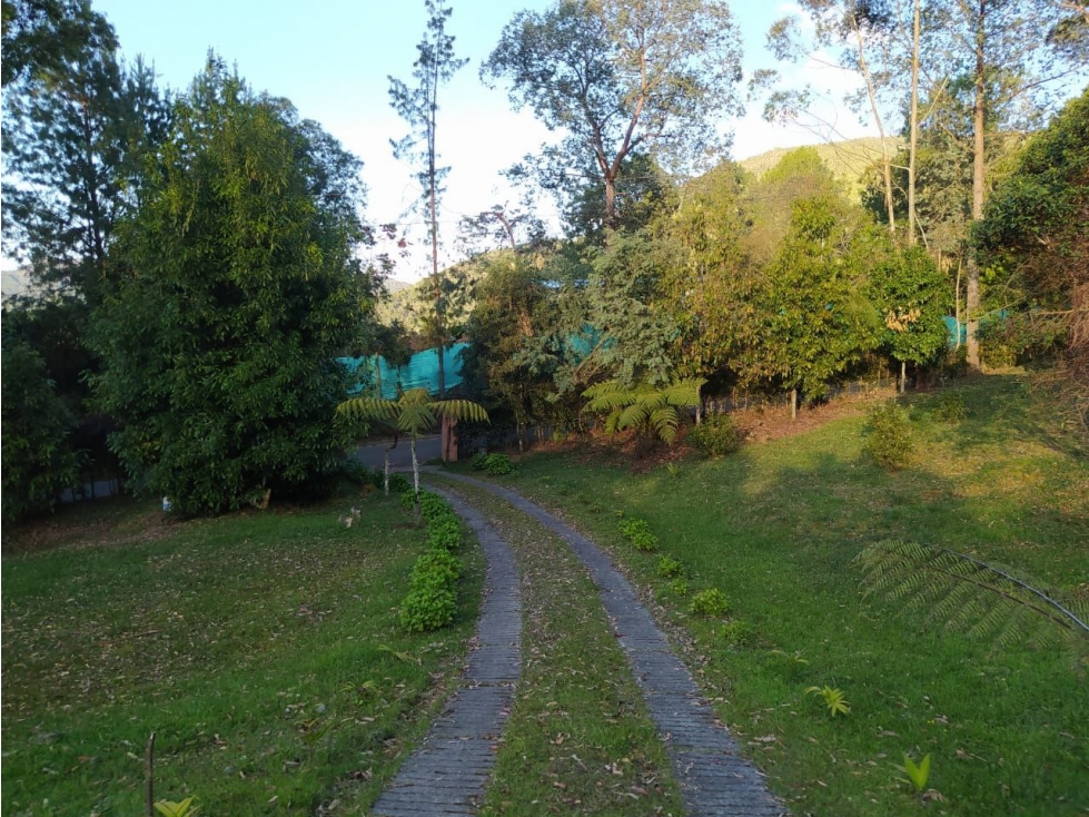 Finca de 7.000 m² con 3 alcobas en venta en La Catedral, Envigado — foto 5