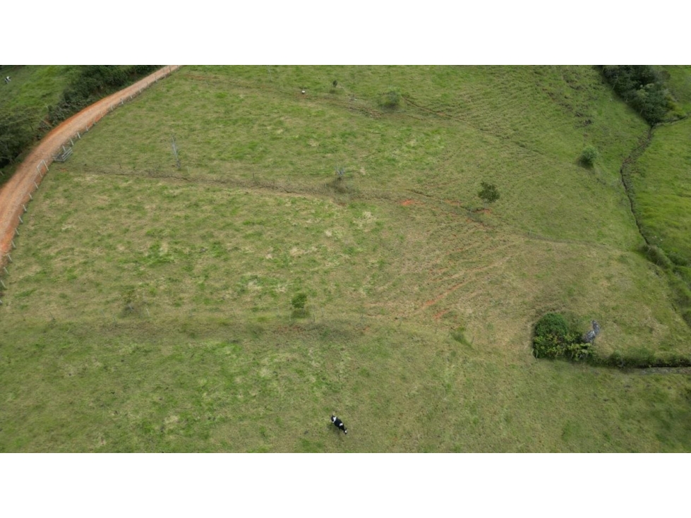 Lote de 3.720 m² en venta en San Pedro de los Milagros — foto 3