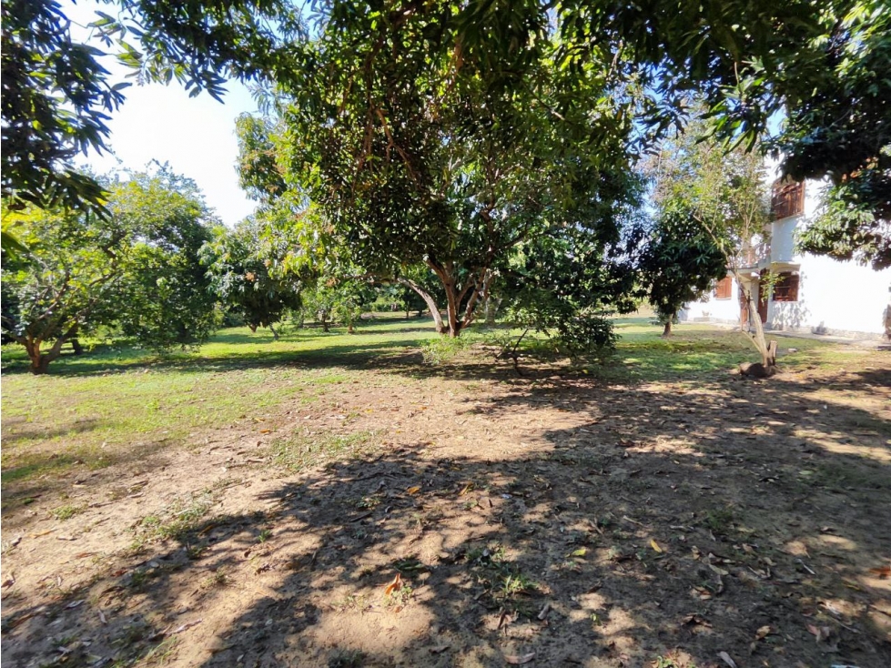 Finca en Santa Fe de Antioquia Topografía Plana — foto 5