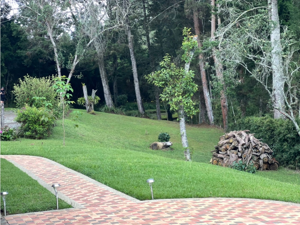 Finca en venta en la vereda La Brizuela, Guarne — foto 3