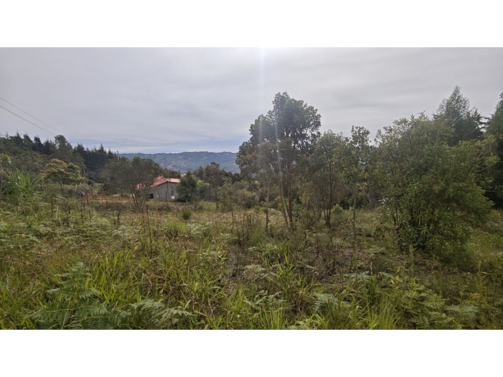 Lote de 1.970 m² en venta en la vereda San Isidro, Guarne — foto 3
