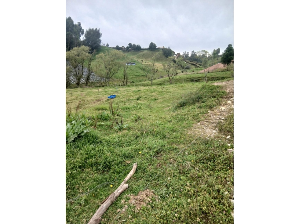 Lote de 2.600 m², vereda La Lana, San Pedro de los Milagros — foto 4