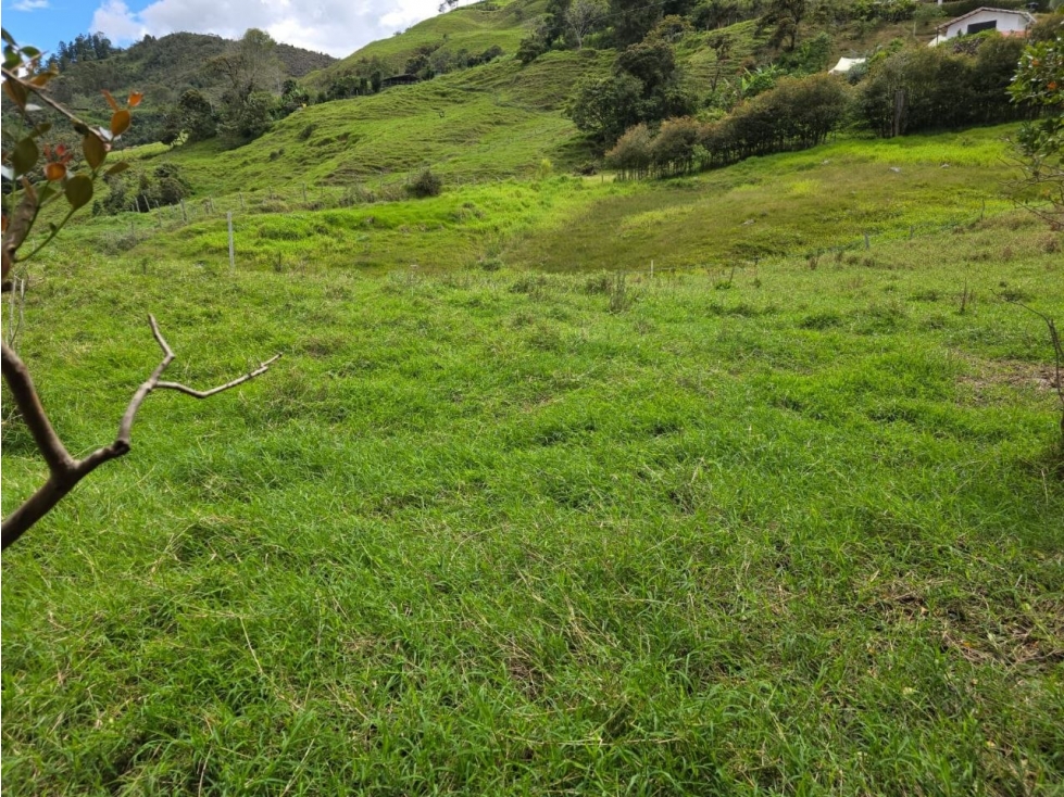 Lote en Barbosa Alto de Matasano — foto 3