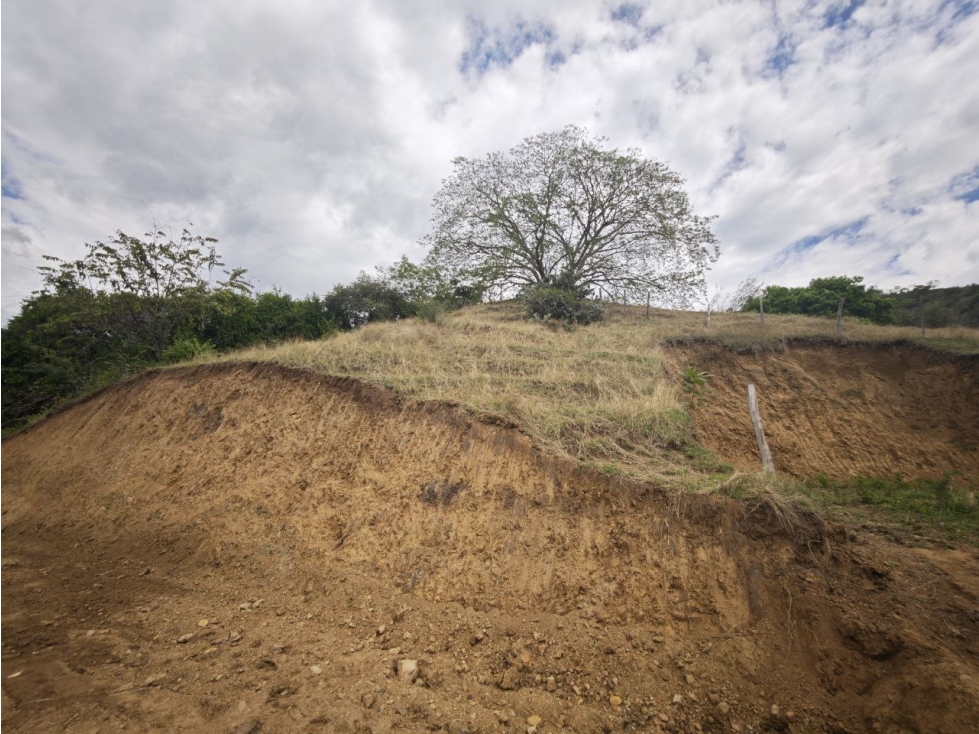 Lote en sopetran Vereda ciruelac — foto 4