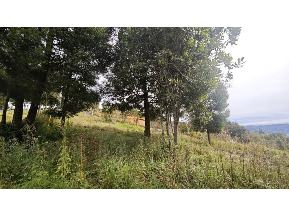 Lote de 1.970 m² en venta en la vereda San Isidro, Guarne — foto 4