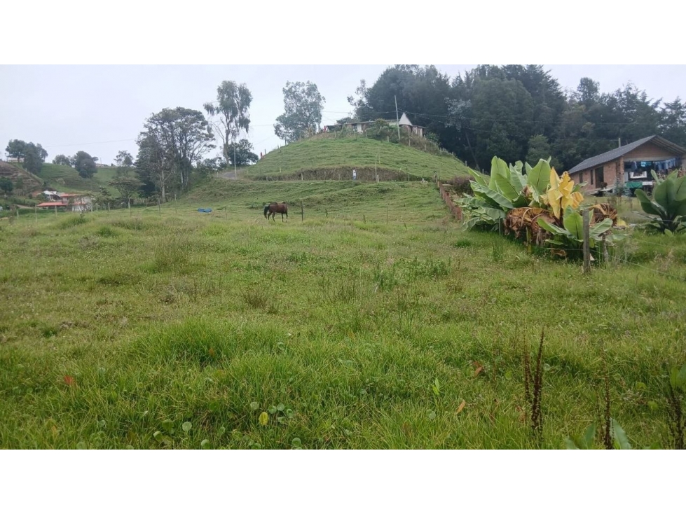 Lote de 2.600 m², vereda La Lana, San Pedro de los Milagros — foto 5