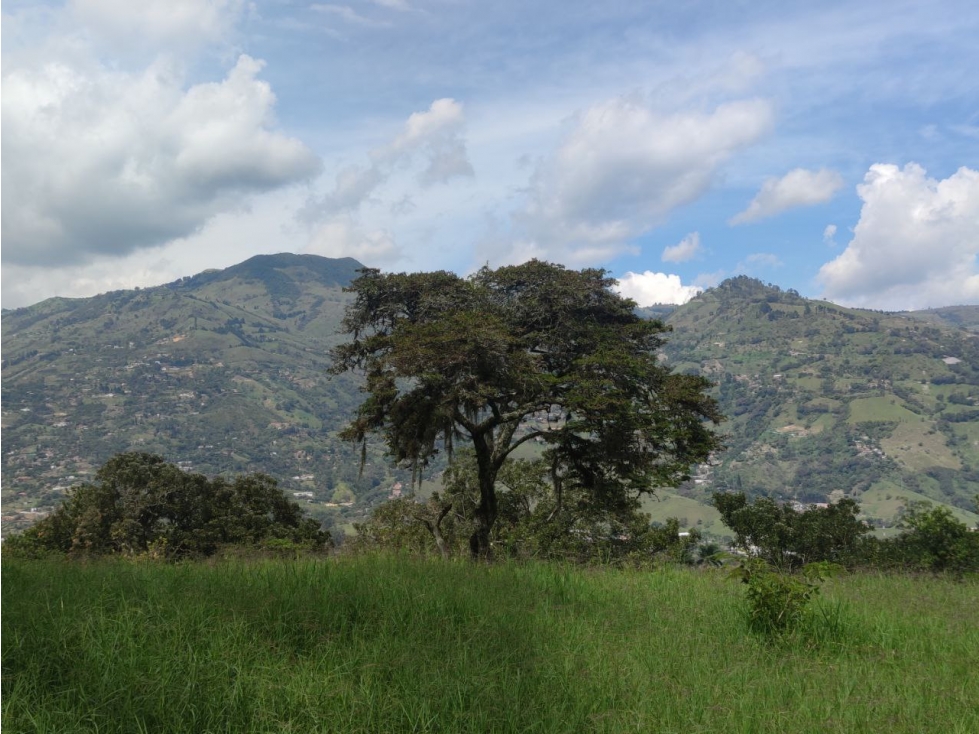 Lote de 2.700 m² en venta en vereda El Totumo, Girardota - Lote 1 — foto 5