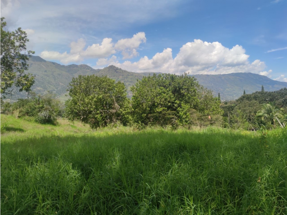 Lote de 2.700 m² en venta en vereda El Totumo, Girardota - Lote 2 — foto 5