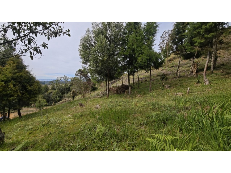 Lote de 2.095 m² en venta en la vereda San Isidro, Guarne — foto 4