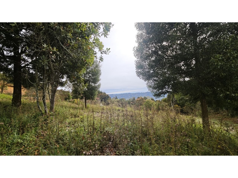 Lote de 1.970 m² en venta en la vereda San Isidro, Guarne — foto 5