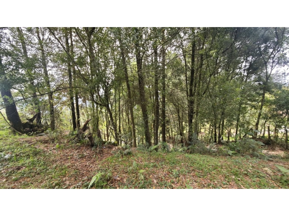 Lote de 3.200 m² en venta, vereda San Isidro, Guarne — foto 3