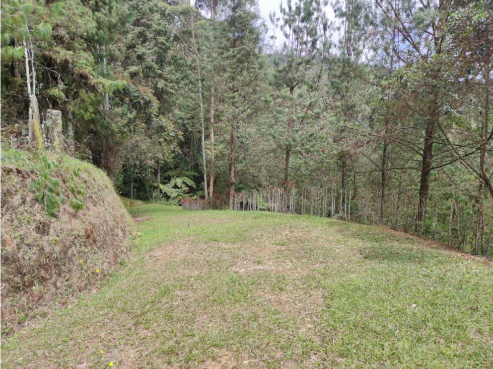 Lote en Envigado Sector la Catedral - 6