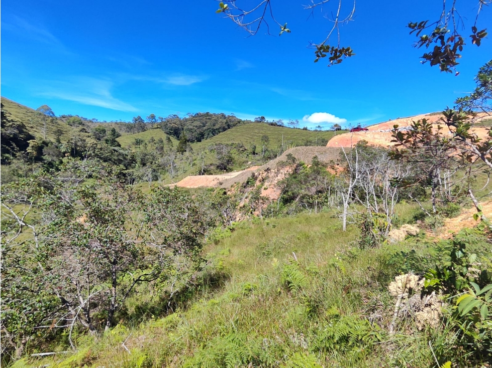 Lote En Santo Domingo Antioquia - 6