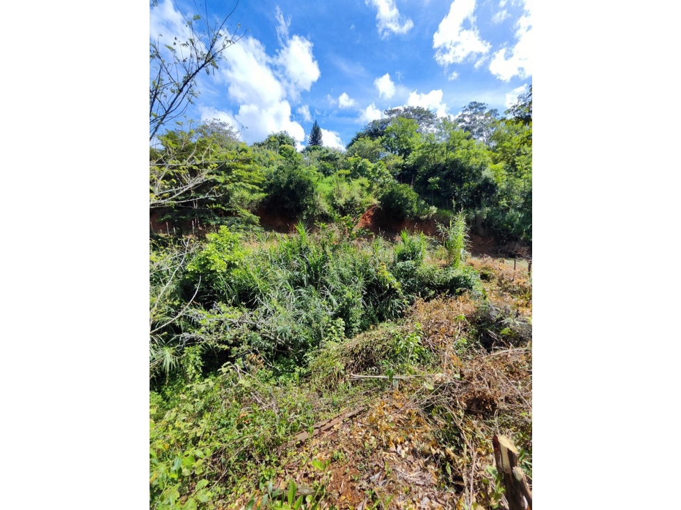 Lote en Girardota Vereda el Totumo — foto 5