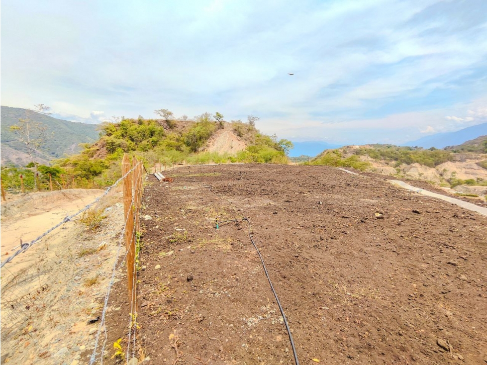 lote en sopetran sector el Gaitero — foto 6