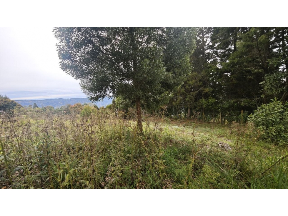 Lote de 1.970 m² en venta en la vereda San Isidro, Guarne — foto 6