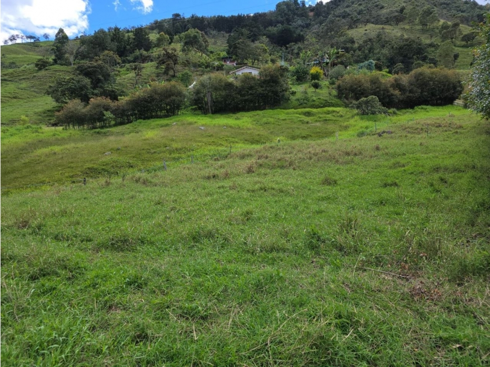 Lote en Barbosa Alto de Matasano — foto 6