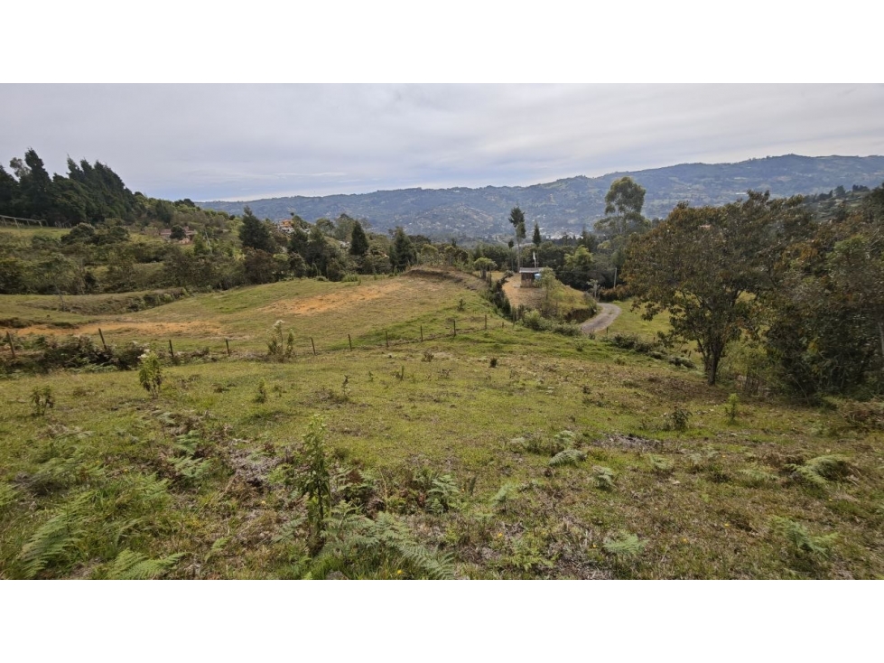 Lote de 3.200 m² en venta, vereda San Isidro, Guarne — foto 6