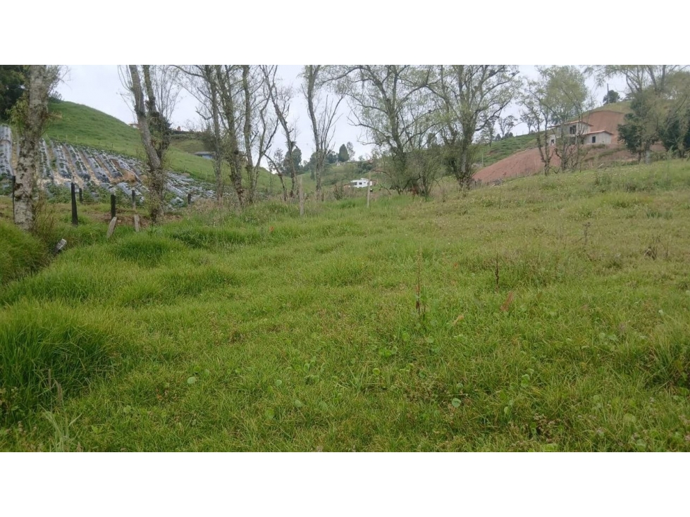 Lote de 2.600 m², vereda La Lana, San Pedro de los Milagros