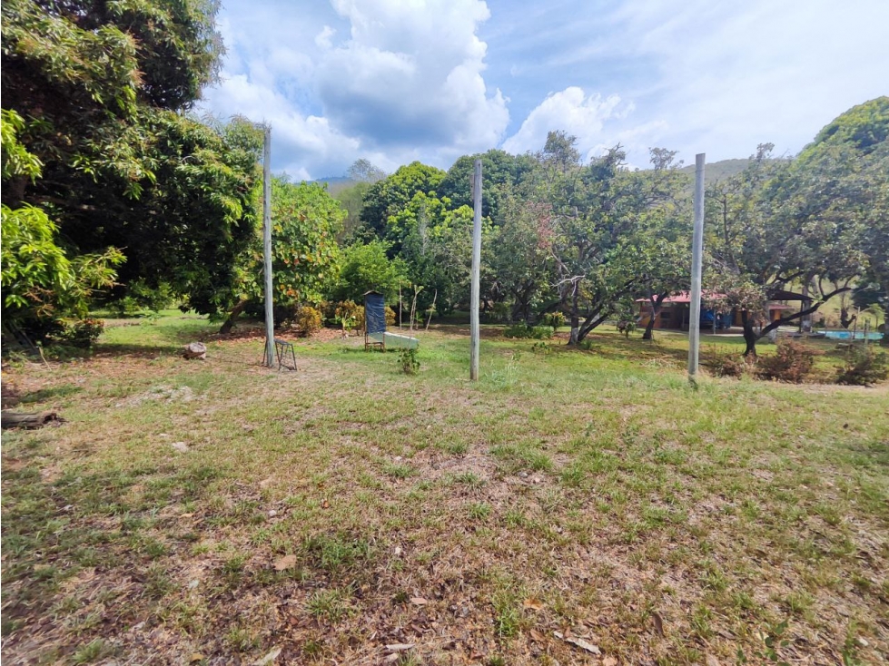 Finca en sucre olaya cerca al pueblo topografía plana — foto 4