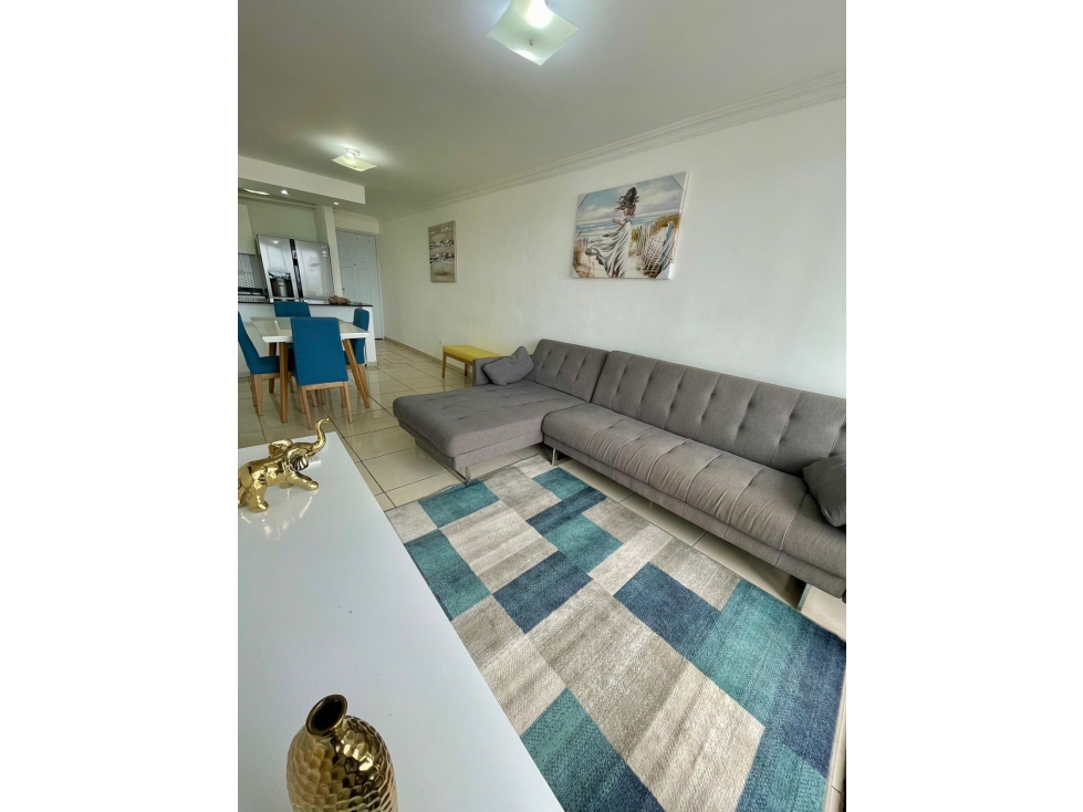 Alquilo Apartamento en PH Plaza Valencia-amoblado