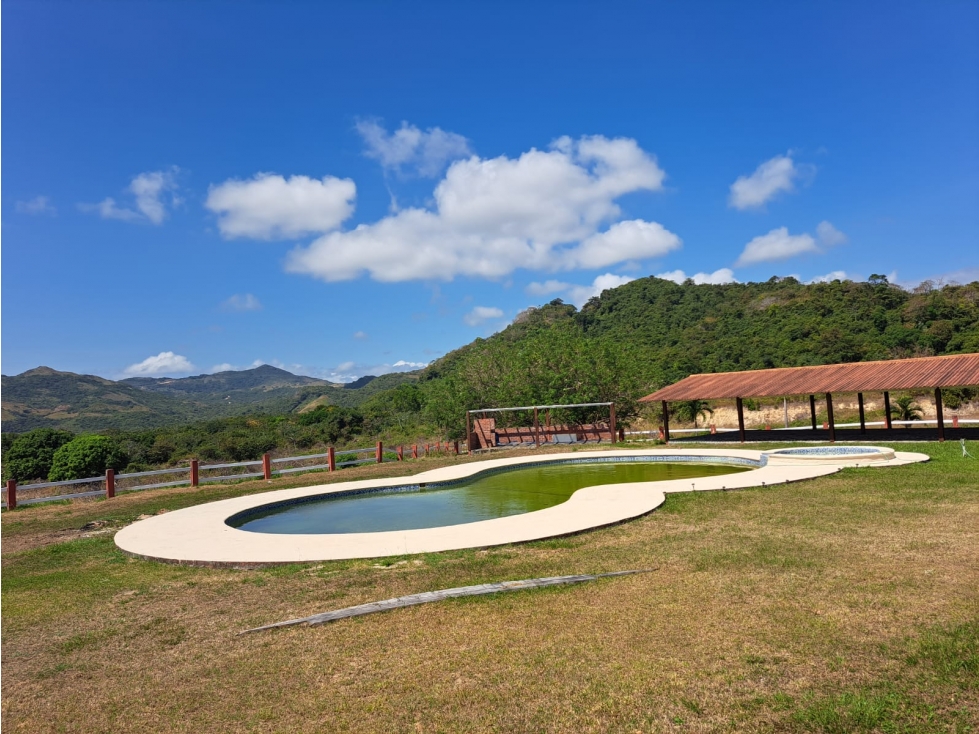 Vendo Finca Penonome10 Hectareas - 2