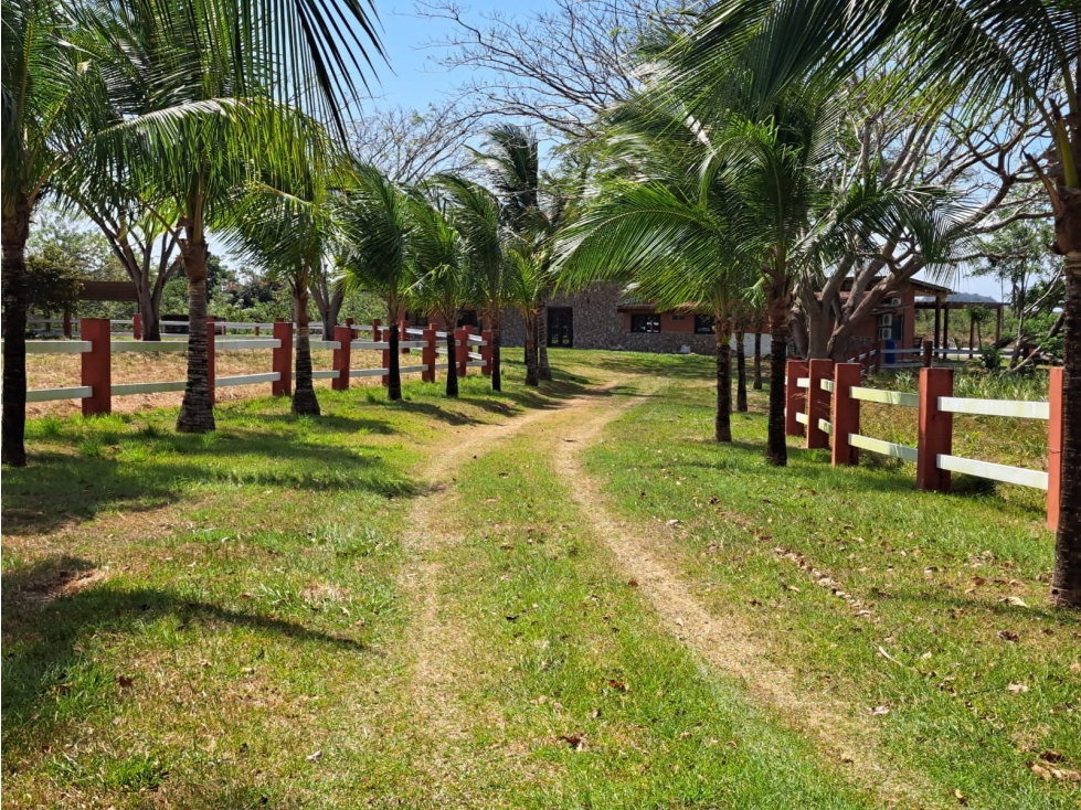 Vendo Finca Penonome10 Hectareas - 4