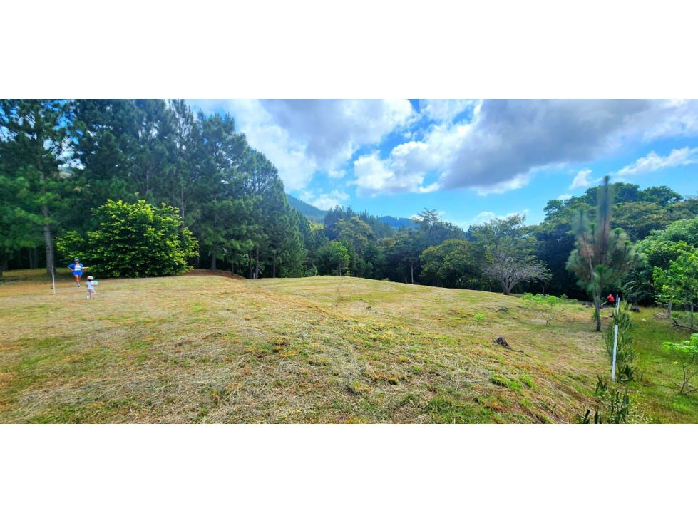 SE VENDE TERRENO EN ALTOS DEL MARIA — foto 2