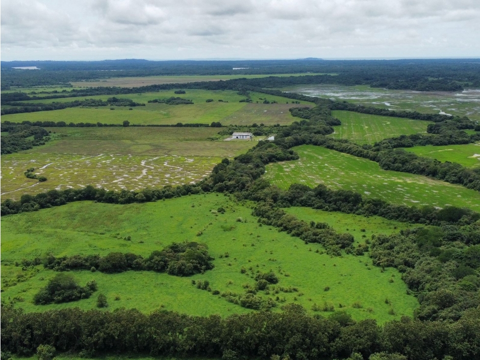 SE VENDE FINCA - PANAMÁ ESTE - 1
