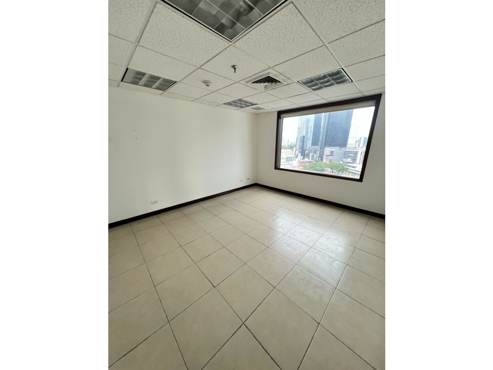 OFICINA EN ALQUILER O VENTA | MARBELLA | WORLD TRADE CENTER — foto 4