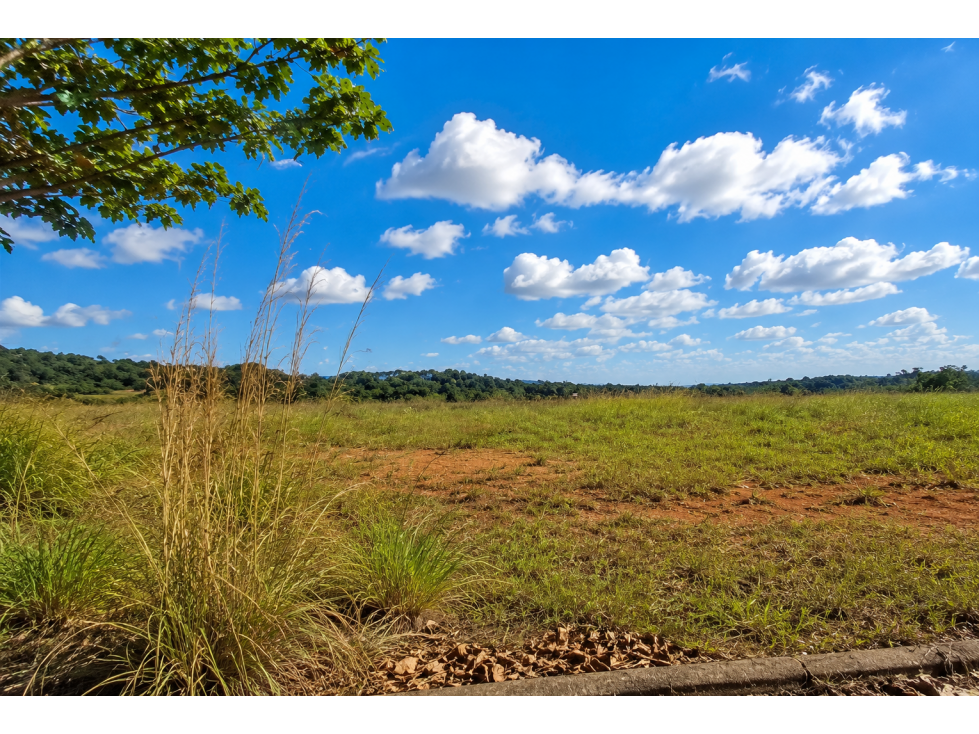 TERRENOS PARA DESARROLLO RESIDENCIAL | PEDREGAL | COOREDOR NORTE — foto 2