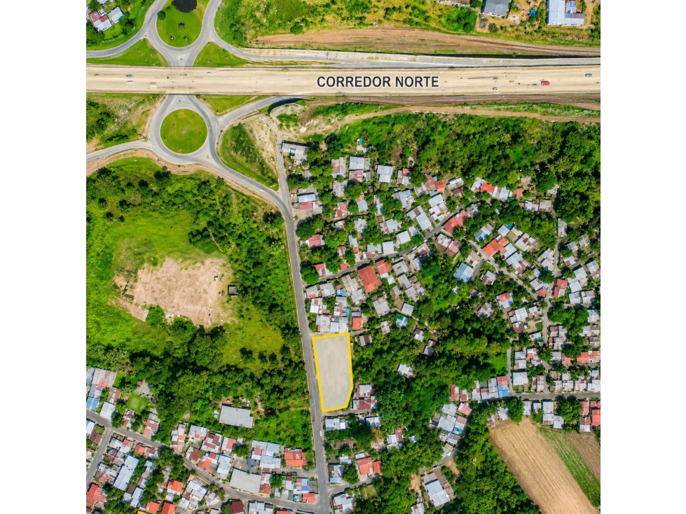 TERRENO EN VENTA | PEDREGAL RANA DE ORO - 2