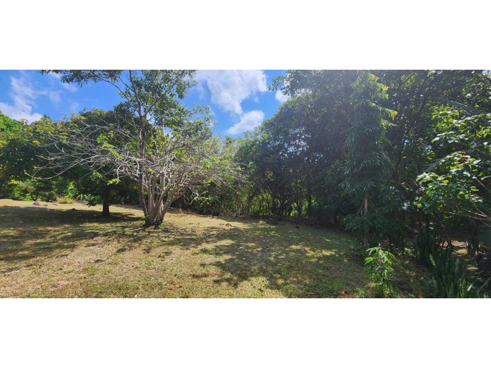 SE VENDE TERRENO EN ALTOS DEL MARIA — foto 3