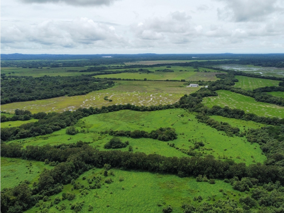 SE VENDE FINCA - PANAMÁ ESTE - 3