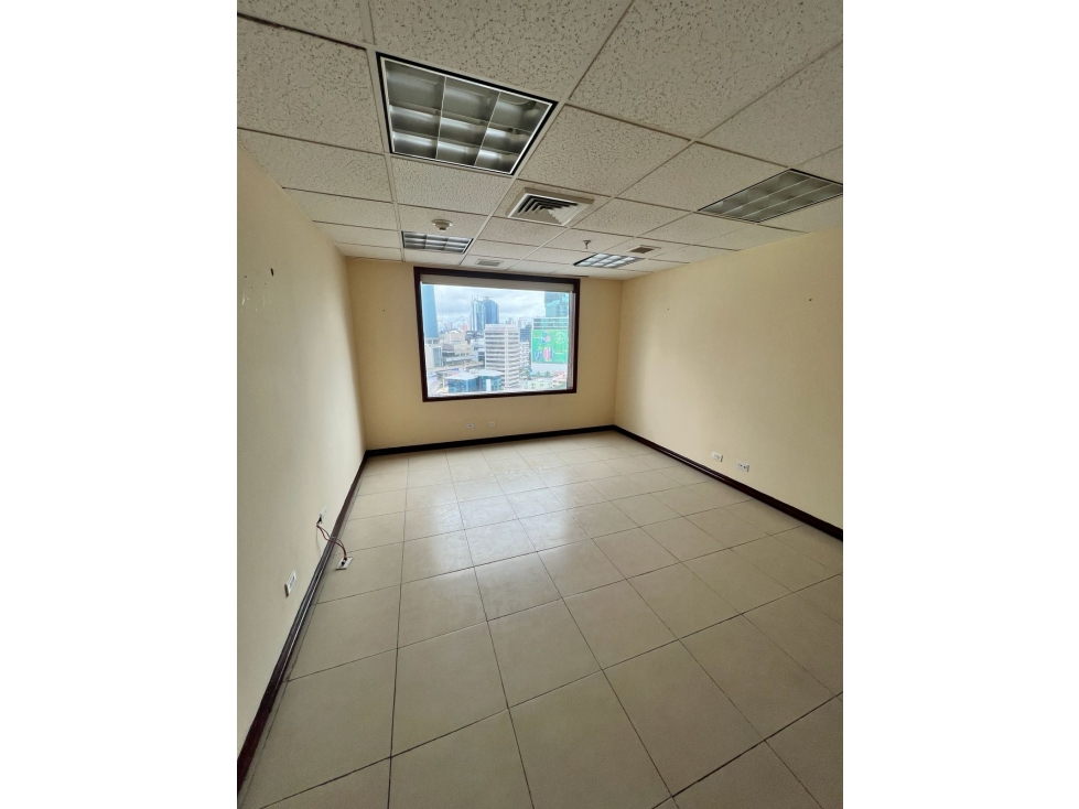 OFICINA EN ALQUILER O VENTA | MARBELLA | WORLD TRADE CENTER — foto 5