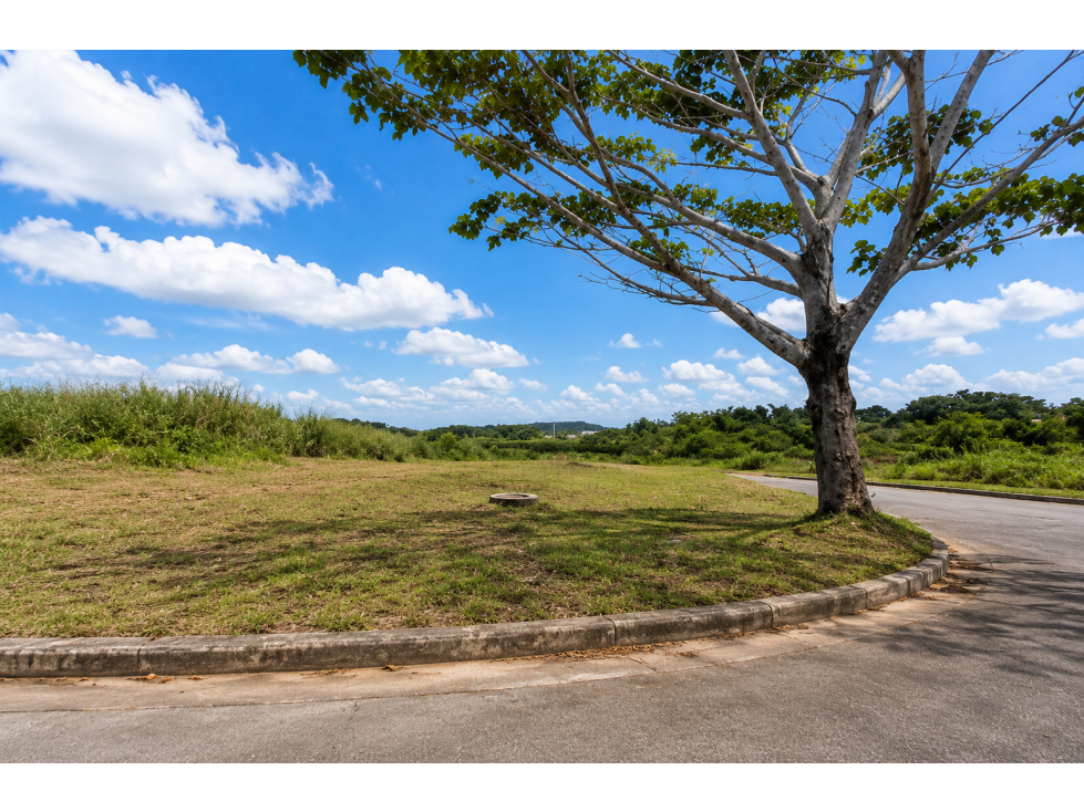 TERRENOS PARA DESARROLLO RESIDENCIAL | PEDREGAL | COOREDOR NORTE — foto 3