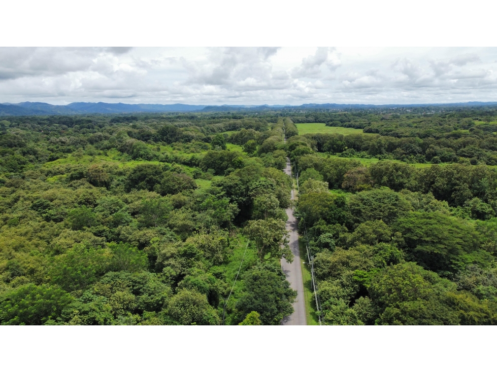 SE VENDE FINCA - PANAMÁ ESTE - 4