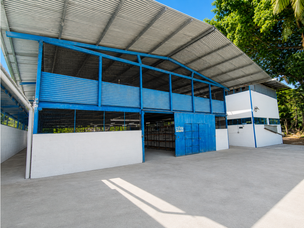 BODEGA EN ALQUILER | PUEBLO NUEVO | FACIL ACCESO A TRANSISTMICA - 4