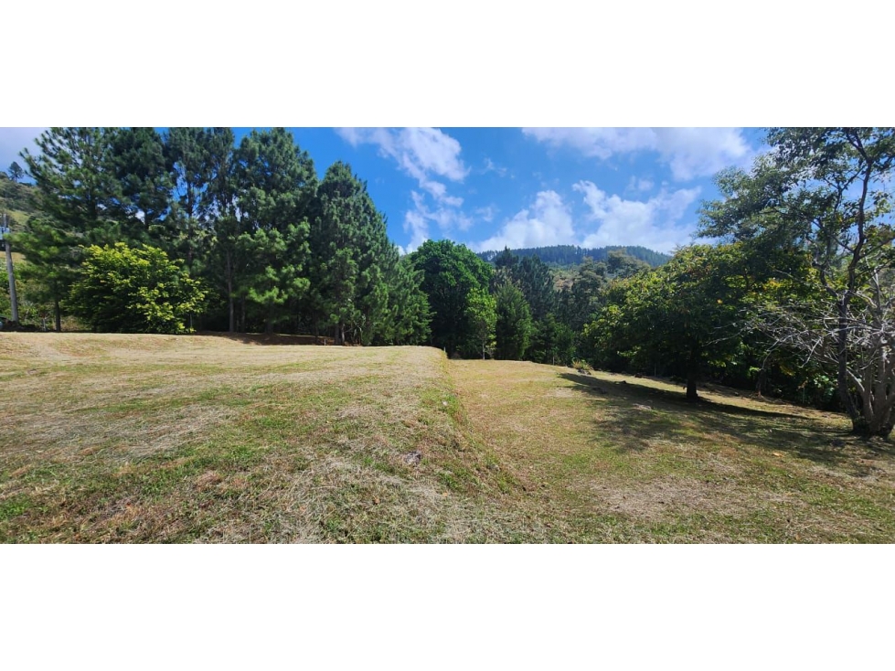 SE VENDE TERRENO EN ALTOS DEL MARIA — foto 5